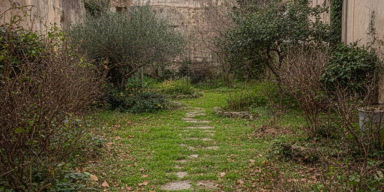 Giardino abbandonato nel centro storico di Agropoli prima della manutenzione